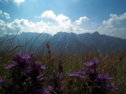 32 Vista verso il Pizzo del Becco e i Corni di Sardegnana